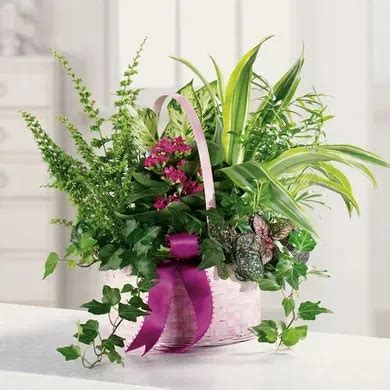 florist sierra vista az|Sierra Vista Florist: Prairie Floral Design Studio 